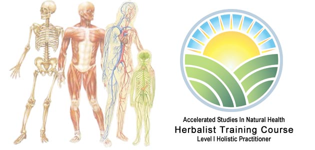 Herbal Practitioner Course I